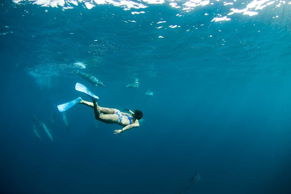 DeepDive